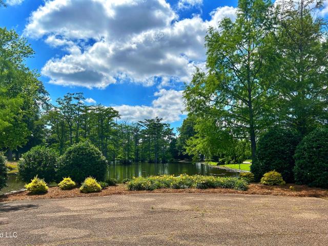 Land for sale in Coahoma, Mississippi
