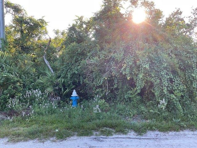 Land for sale in Palm Coast, Florida