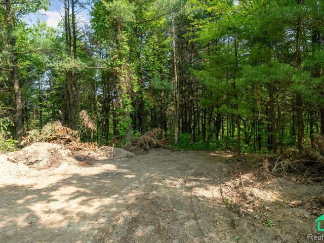 Land for sale in Dryden