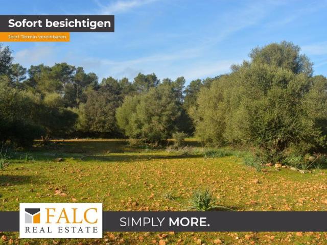 Casa en venta en Pina, Pla de Mallorca
