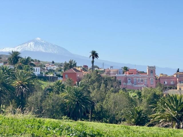 Casa en alquiler en El Cantillo, Tacoronte