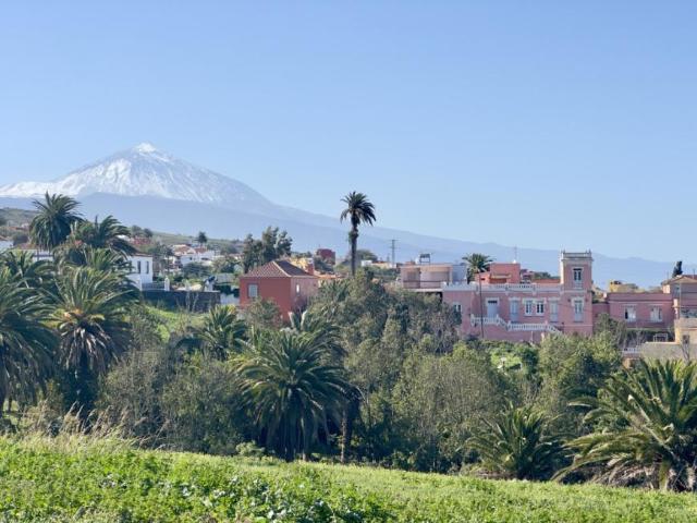 Casa en alquiler en El Cantillo, Tacoronte