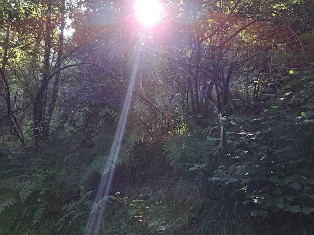 Casa Rural en venta en Caso, Asturias