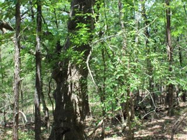 Land for sale in Antlers, Oklahoma