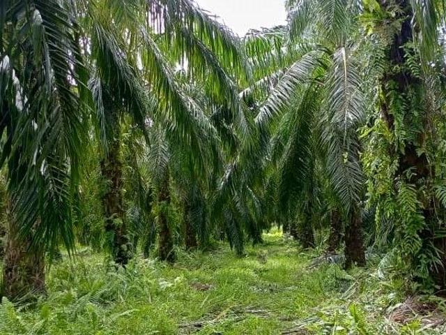 Property for sale in Selangor