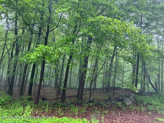 Land for sale in Lloyd, New York