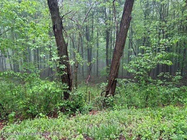 Land for sale in Lloyd, New York