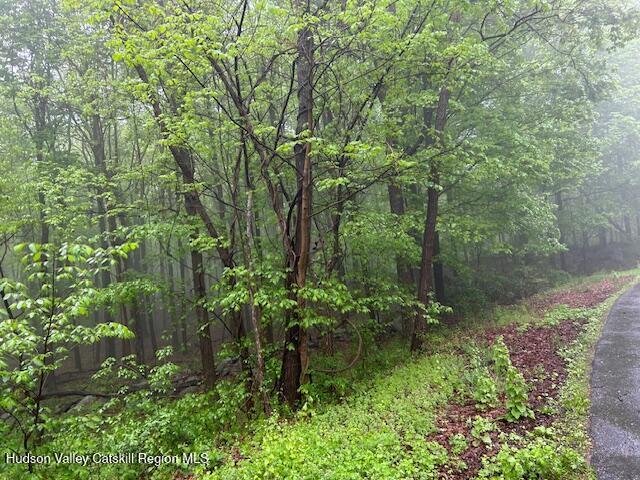 Land for sale in Lloyd, New York