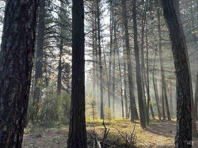Land for sale in Idaho City, Idaho