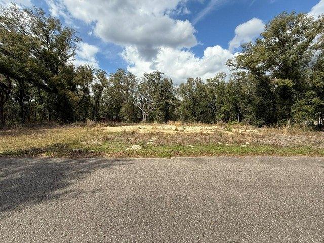 Land for sale in Ocklawaha, Florida