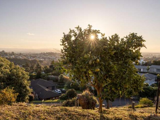 Land for sale in Bay Of Plenty
