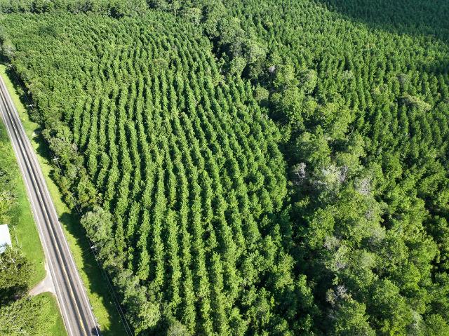 Land for sale in Jasper, Texas
