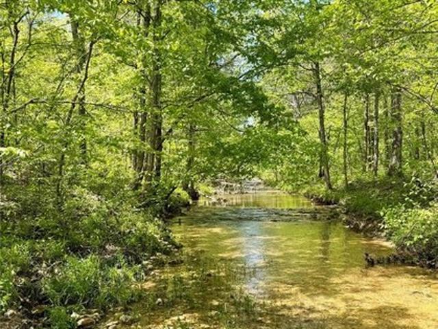 Land for sale in Mineral Point, Missouri