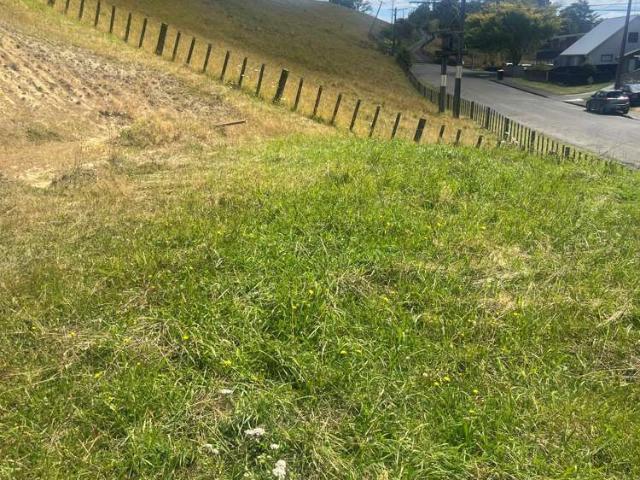 Land for sale in Feilding