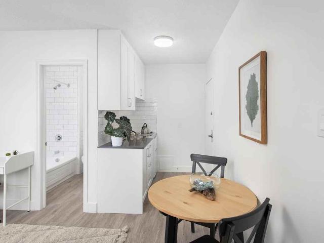 Apartment for rent in South Parkdale, Toronto