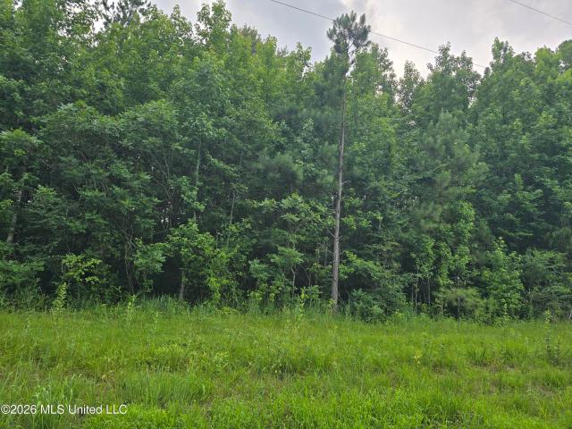 Land for sale in Tate, Mississippi