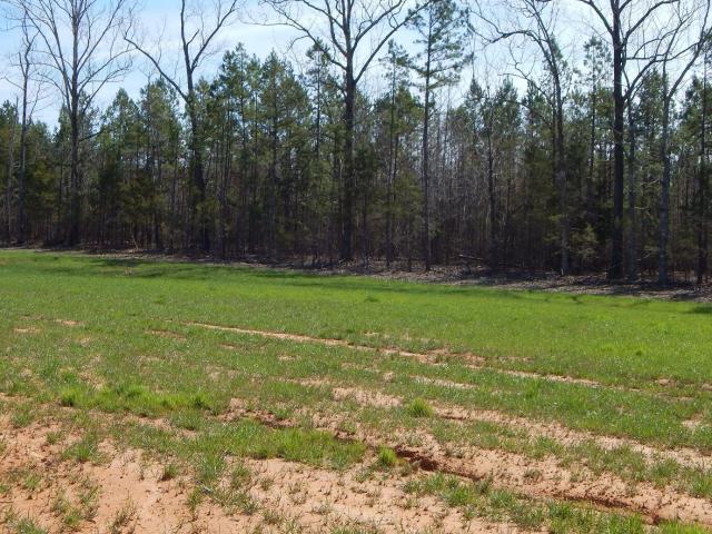 Land for sale in Grenada, Mississippi