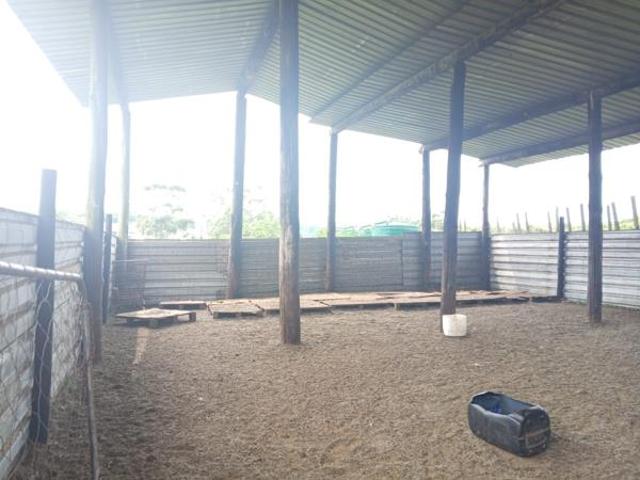 Farm for sale in Mtunzini, Kwazulu-natal