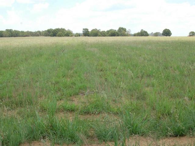 Land for sale in Waterkloof, Gauteng