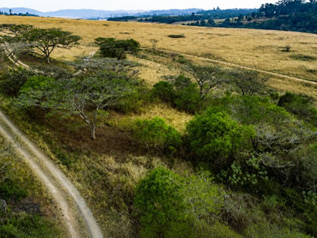 Land for sale in Kwazulu-natal