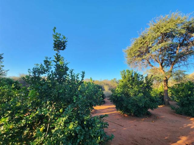House for sale in Limpopo