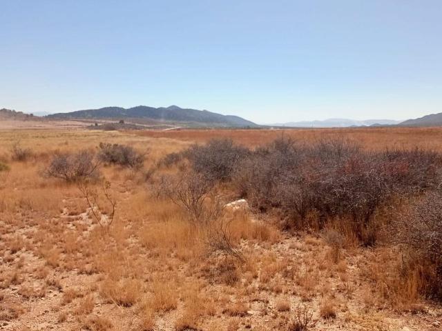 Departamento en venta en Arteaga, Coahuila