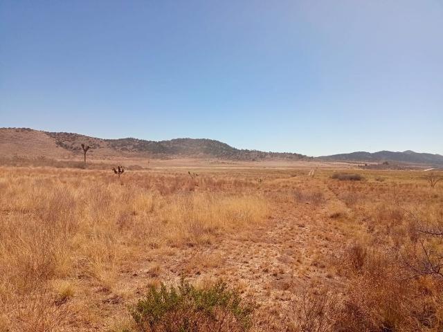 Rancho en venta en Arteaga, Coahuila