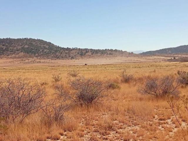 5 Hectáreas de Parcela Agropecuaria
