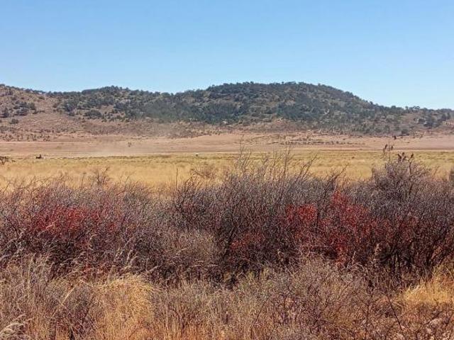 5 Hectáreas de Parcela Agropecuaria