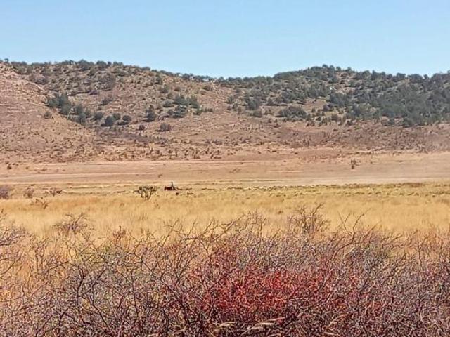 5 Hectáreas de Parcela Agropecuaria