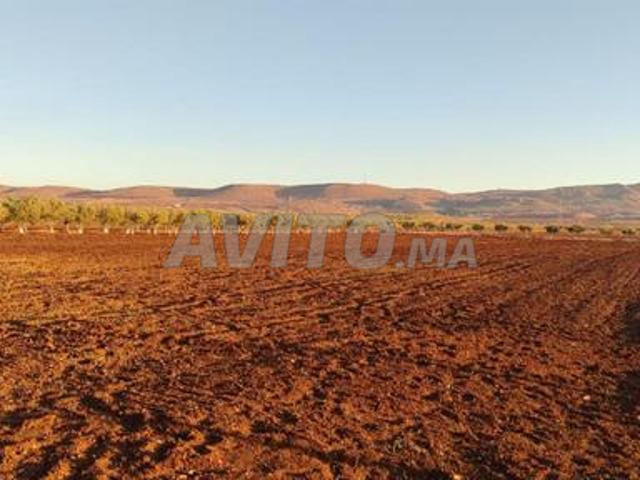 Propriété vente à Meknès