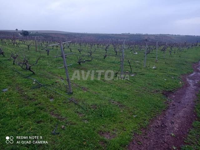 Propriété vente à Gharb-Chrarda-Beni Hssen