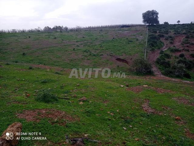 Propriété vente à Gharb-Chrarda-Beni Hssen