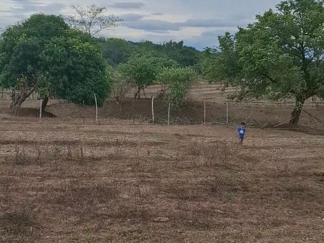 Farm for sale in Balungao