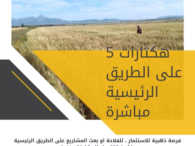 Terrain vente à Zaghouan, Bir Mcherga