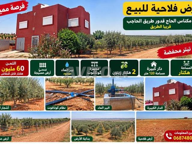 Propriété vente à Meknès