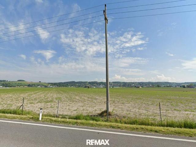 Grundstück mieten in Perg, Oberösterreich