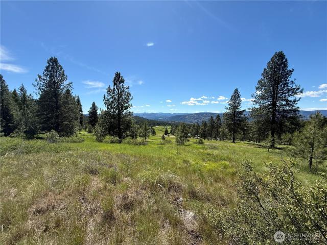 Land for sale in Republic, Washington