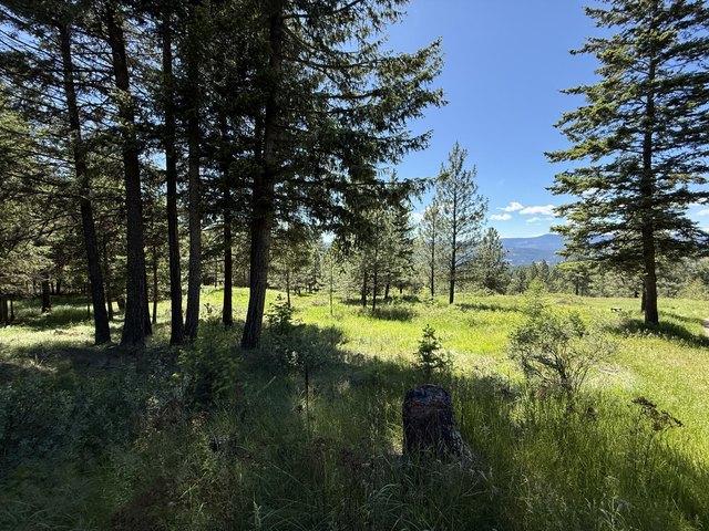 Land for sale in Republic, Washington