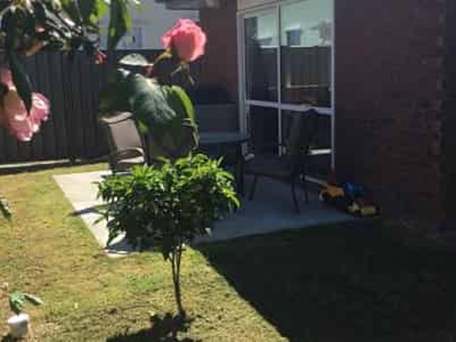 House for rent in Napier