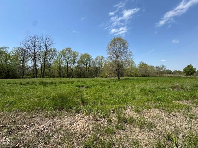 Farm for sale in Ark