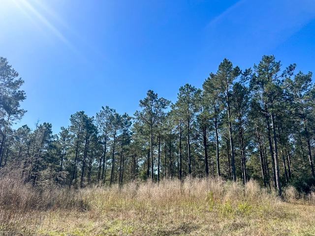 Land for sale in Polk, Texas