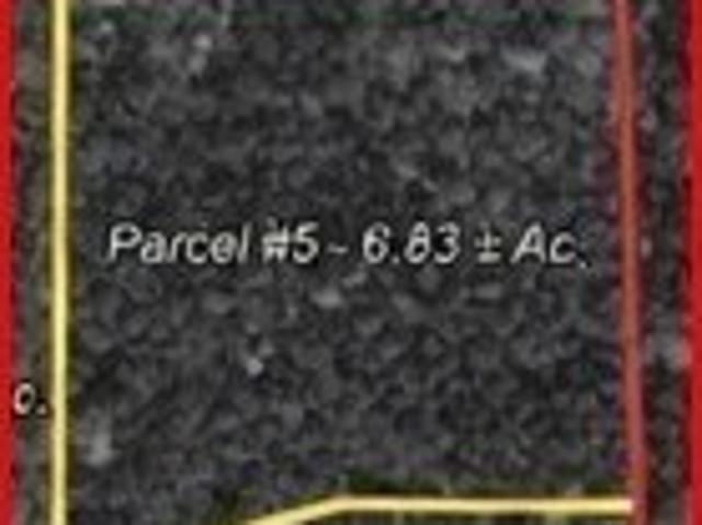 Land for sale in Gordo, Alabama