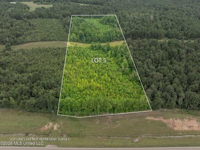 Land for sale in Collins, Mississippi