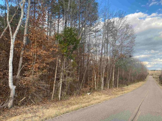 Land for sale in Tennessee