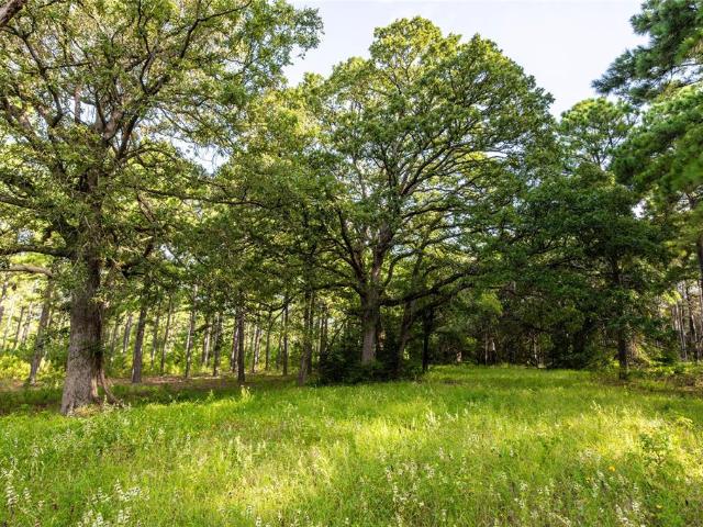 Property for sale in Frankston, Texas