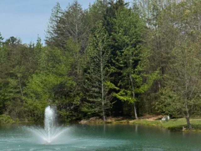Land for sale in Tennessee