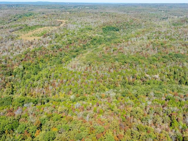 Land for sale in Bradford, Jackson County