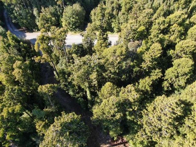 Land for sale in Kumara, West Coast