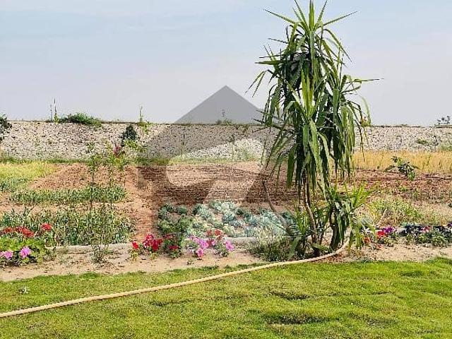 Land for sale in Chakwal, Islamabad Capital Territory